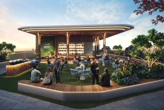 Party Lawn
